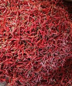 4Max Dry Teja Red Chilli