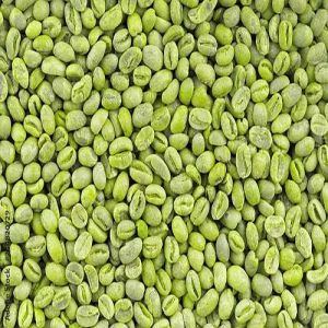Arabica Green Coffee Beans