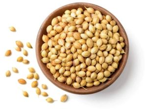 Whole Dry Coriander Seeds