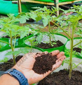 Brown Vermicompost Fertilizer