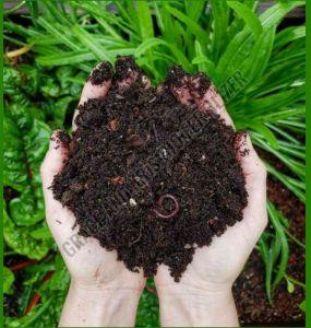Brown Vermicompost Fertilizer
