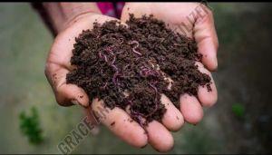 Natural Vermicompost Fertilizer