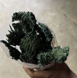 Spirulina Noodles