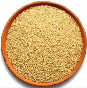 A Grade Little Millet