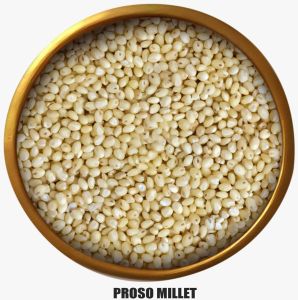 A Grade Proso Millet