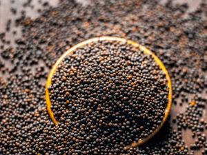 Black Whole Mustard Seed