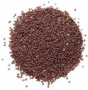 Brown Mustard Seed