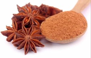 Dehydrated Star Anise Powder