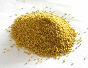 Hulled Foxtail Millet