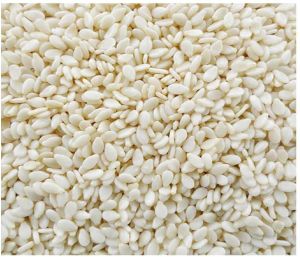 White Sesame Seed