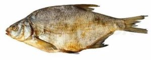 Dried Hilsa Fish