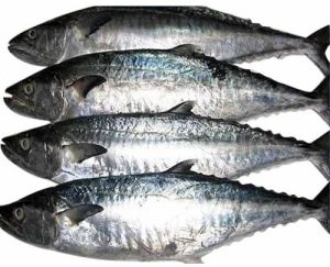 Dried Surmai Fish