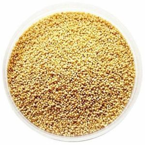 Foxtail Millet Grain