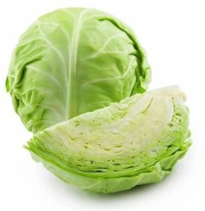 Fresh Green Cabbage