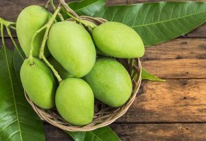Fresh Green Raw Mango