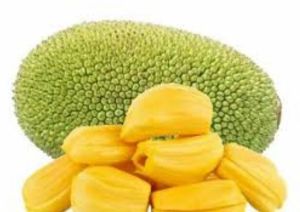 Fresh Jackfruit