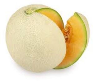 Fresh Muskmelon