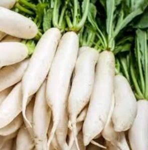 Fresh Radish