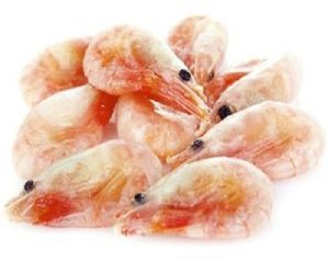 Frozen Marine Prawns
