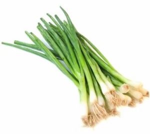 Green Onion Leaves