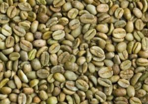 Raw Coffee Beans