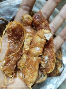 A Great Tamarind