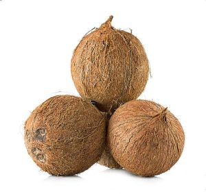 A Grade Fully Husked Coconut