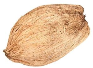 Brown Semi Husked Coconut