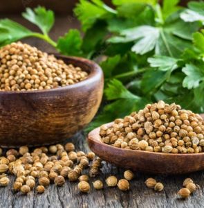 100gm Coriander Seeds