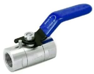 Stainless Steel Polished Ball Valve