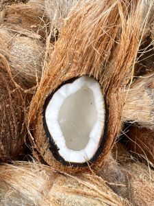 Indian Semi Husked Coconut