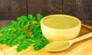 Moringa Oleifera Plant/leaves/powder