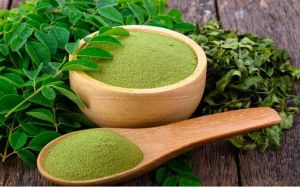 Moringa Oleifera Plant/leaves/powder