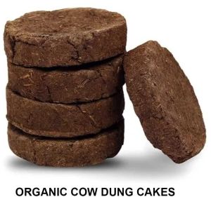 cow dung cake