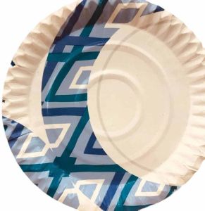 Designer Disposable Paper Plate