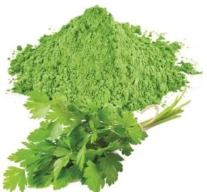 Coriander Leaf Powder