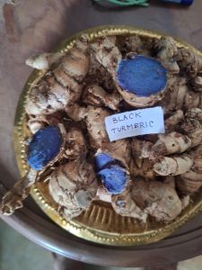 Black Turmeric Rhizome