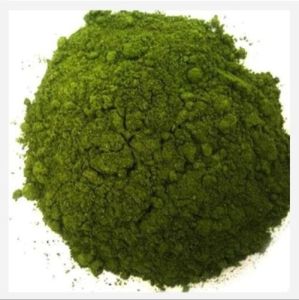 Dehydrated Mint Powder