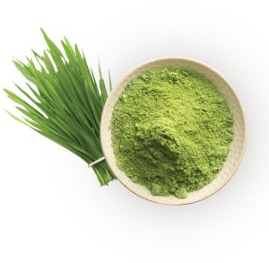 Wheatgrass Powder