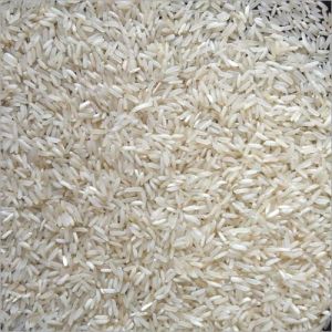 PR26 Basmati Rice