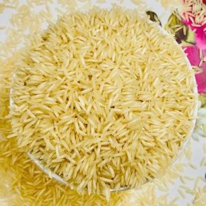 PR47 Basmati Rice