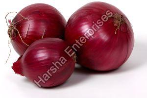 Fresh Red Onion