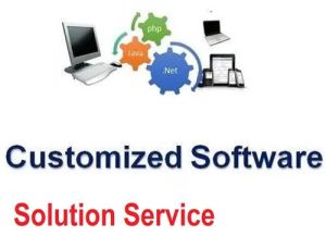Customized Software Solution Service