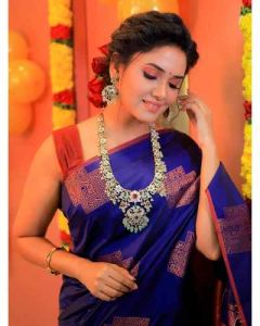 Contrast Border Kanchipuram Saree