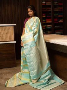 Pastel Kanchipuram Silk Saree