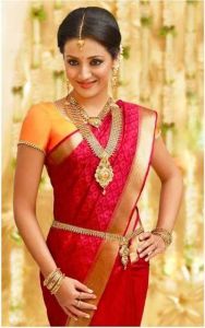 Traditional South Indian Kanchipuram Saree