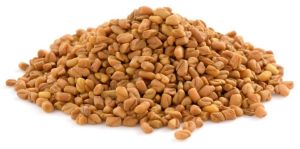 Fenugreek Seeds Methi Dana