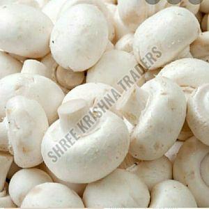 A Grade Fresh Button Mushroom