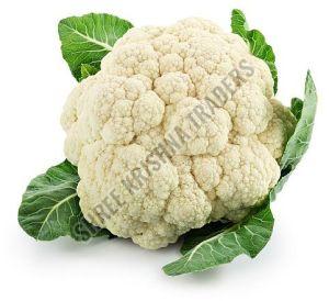 A Grade Fresh Cauliflower