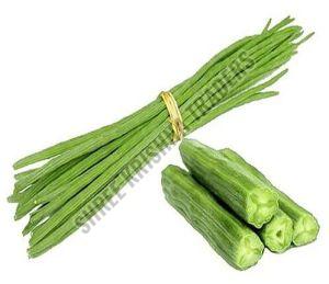 A Grade Fresh Drumstick